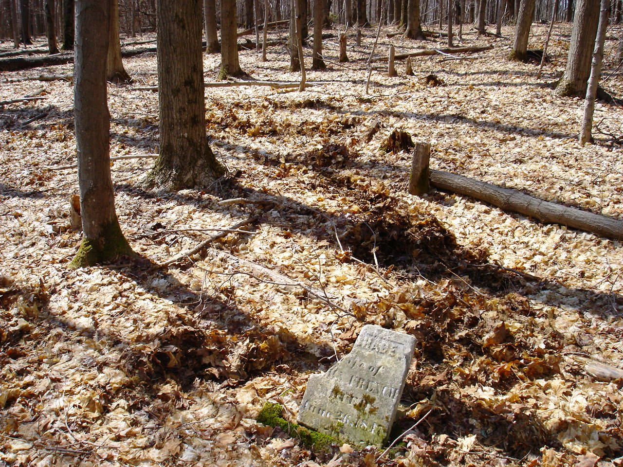 French Cemetery Allegany County Historical Society Gallery